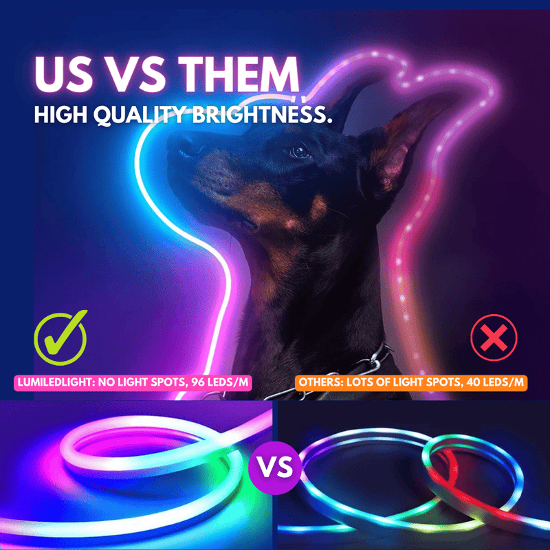  RGBIC Flexi Neon Rope main product with remote and app